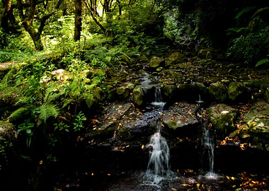 Canal Canals Green Hike Hi
