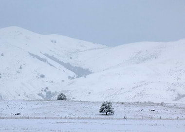 Image Picture Background