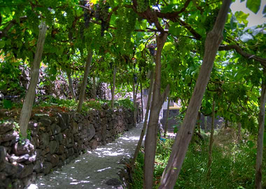 Canal Canals Green Hdr Hdr