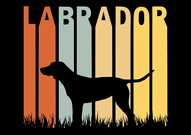 Labrador