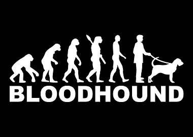 Bloodhound
