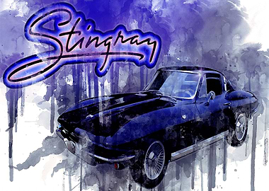 Stingray76251