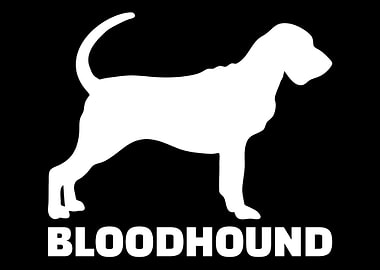 Bloodhound
