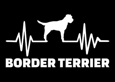 Border Terrier