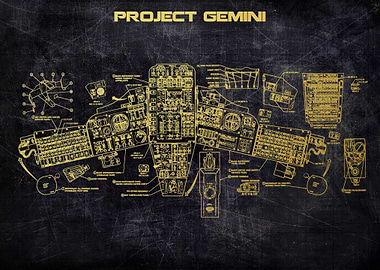 project gemini