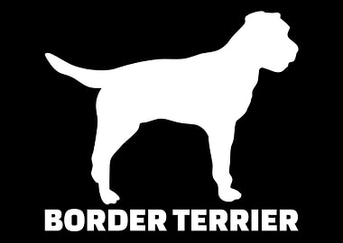 Border Terrier