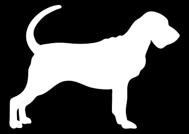 Bloodhound