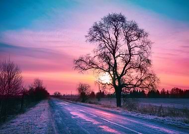 Background Beautiful Cold