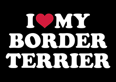 Border Terrier