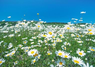 Background Beam Beautiful