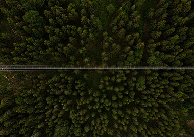 High Suspension Bridge