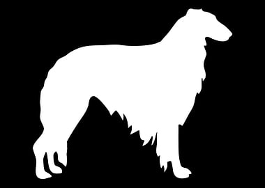 Borzoi