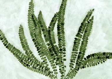 Fern Painting