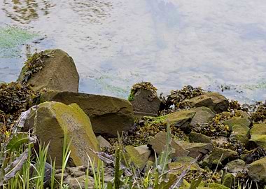 Abstract Grunge Texture