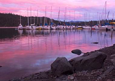 Image Picture Nature Sc