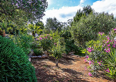 Mediterranean bush