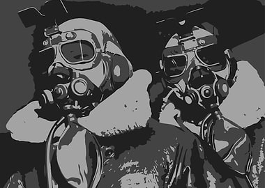 High Altitude Bomber Pilot