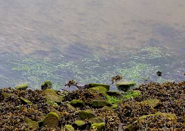 Abstract Grunge Texture