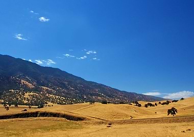 Image Picture Background