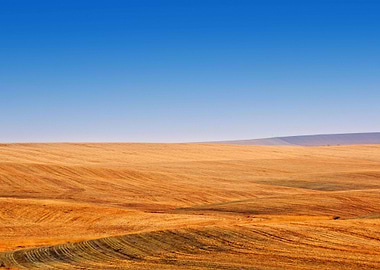 Image Picture Background