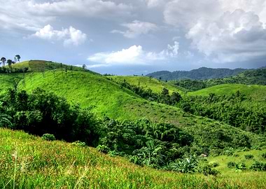 Agriculture Asia Beautiful