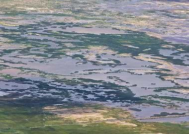 Image Picture Background