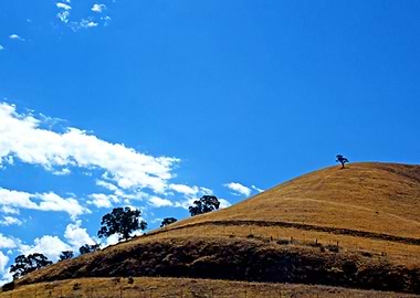 Image Picture Background