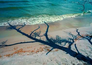 Background Baltic Beach Br