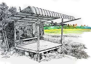 gazebo padi field