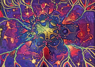 Psychedelic Starfish
