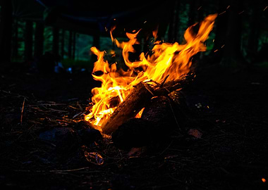 Chilling at the Fire