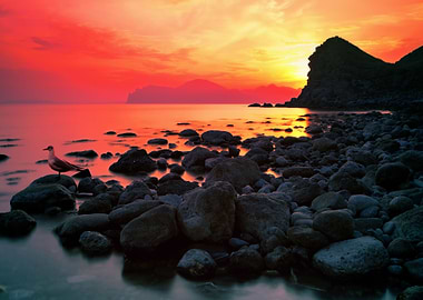 Sea Ocean Beach Sunset