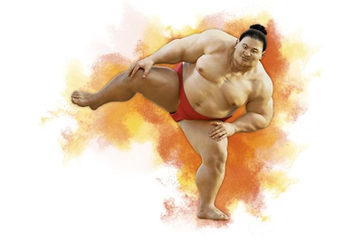 Sumo 1