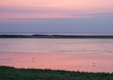 Pink and Lavender Sunrise