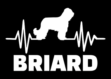 Briard