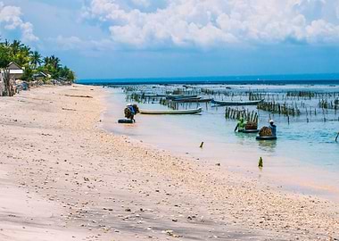 Seaweed Plantation Farm By