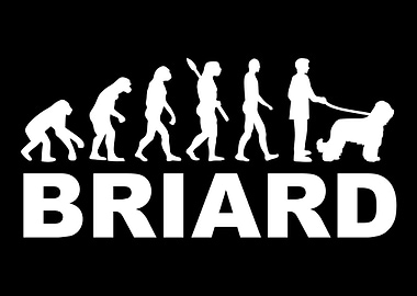 Briard