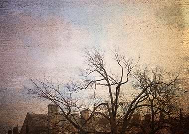 Background Backgrounds Ill