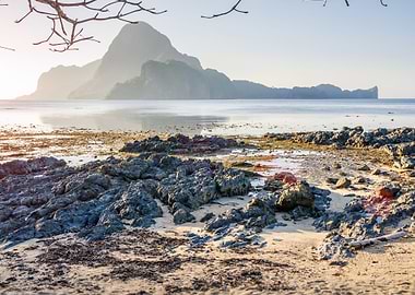Rocky Beach During Low Tid