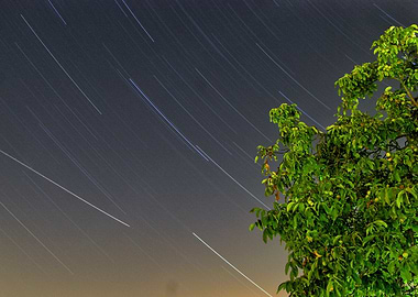 long Startrails with tree