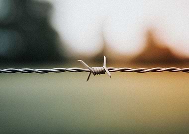 Barbwire