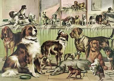 Kennel Club Dogs