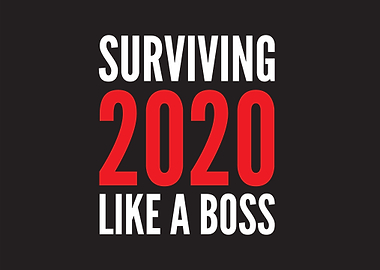 Surviving 2020 Like a Boss