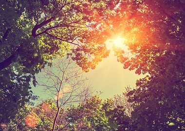 Background Border Botanic