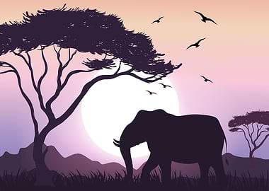 Elephant African Savannah