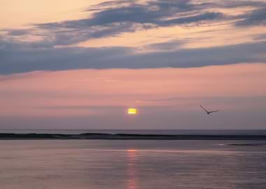 Mauve and Lavender Sunrise