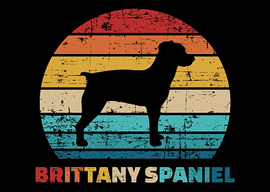 Brittany Spaniel
