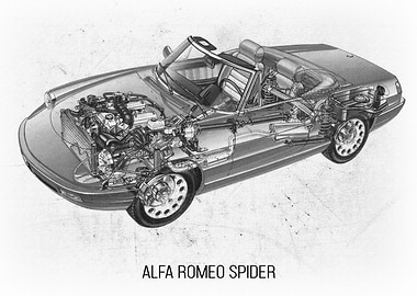 Alfa Romeo Spider