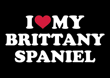 Brittany Spaniel