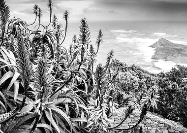 Cape Point National park